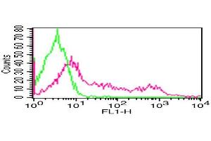 Flow Cytometry (FACS) image for anti-CD8 (CD8) antibody (FITC) (ABIN5027683) (CD8 antibody  (FITC))