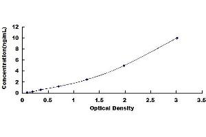 BMP10 ELISA Kit