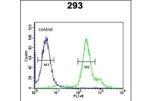 RBM24 Antibody (N-term) (ABIN651797 and ABIN2840402) flow cytometric analysis of 293 cells (right histogram) compared to a negative control cell (left histogram). (RBM24 antibody  (N-Term))
