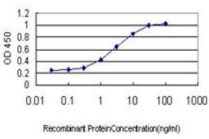 Detection limit for recombinant GST tagged NRG2 is approximately 0. (Neuregulin 2 antibody  (AA 116-215))
