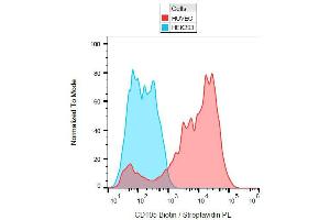 Surface staining of CD105 on Huvec cells with anti-CD105 (MEM-229) biotin. (Endoglin antibody  (Biotin))