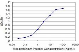 ELISA image for anti-Choroideremia-Like (Rab Escort Protein 2) (CHML) (AA 68-177) antibody (ABIN560361)