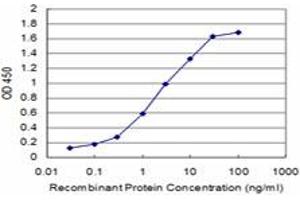 Detection limit for recombinant GST tagged CHML is approximately 0. (CHML antibody  (AA 68-177))
