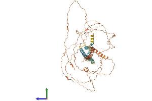AlphaFold protein structure predicition of Human Recombinant NBPF3 Protein, UniprotID Q9H094 (NBPF3 Protein (AA 1-633) (His tag))