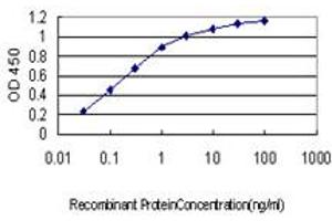 Detection limit for recombinant GST tagged ARMC8 is approximately 0. (ARMC8 antibody  (AA 287-385))