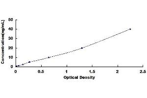Typical standard curve