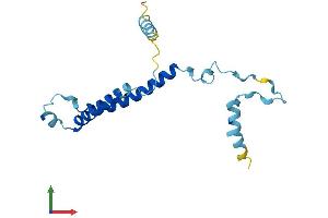 Protein Structure (PS) image for Phosphatidylinositol Glycan Anchor Biosynthesis, Class P (PIGP) (AA 1-158) protein (His tag) (ABIN7550847)