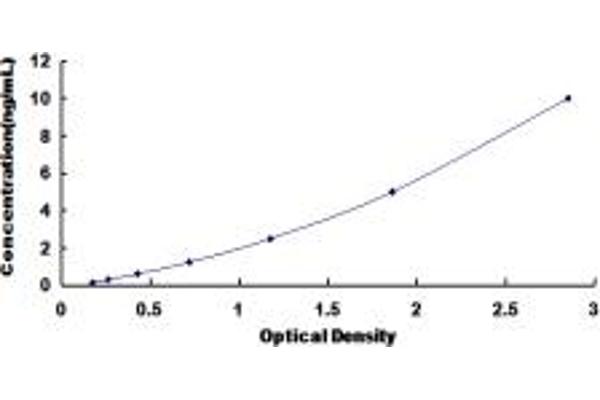 PICK1 ELISA Kit