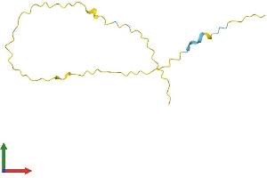 AlphaFold protein structure predicition of Human Recombinant GAGE7 Protein, UniprotID O76087 (G Antigen 7 Protein (GAGE7) (AA 1-117) (His tag))