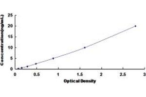 SLC30A6 ELISA Kit