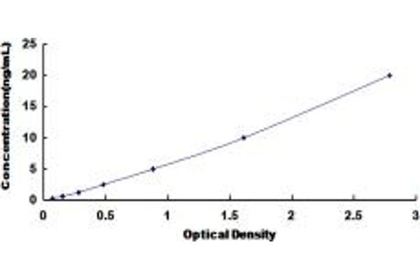 SLC30A6 ELISA Kit