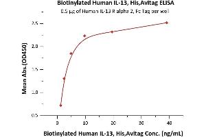 Immobilized Human IL-13 R alpha 2, Fc Tag at 5 μg/mL (100 μL/well) can bind Biotinylated Human IL-13, His,Avitag (ABIN6950979,ABIN6952280) with a linear range of 0. (IL-13 Protein (AA 21-132) (His tag,AVI tag,Biotin))