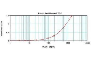 Image no. 6 for anti-Vascular Endothelial Growth Factor A (VEGFA) antibody (ABIN465274) (VEGFA antibody)