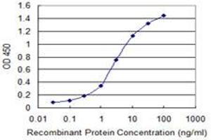 Detection limit for recombinant GST tagged ZNF239 is 0. (ZNF239 antibody  (AA 1-100))