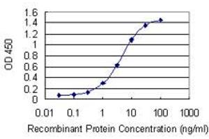 Detection limit for recombinant GST tagged MTMR3 is 0. (MTMR3 antibody  (AA 579-674))