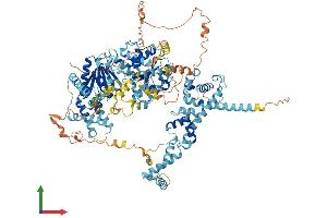 AlphaFold protein structure predicition of Mouse Recombinant Smarca1 Protein, UniprotID Q6PGB8 (SMARCA1 Protein (AA 1-1046) (His tag))