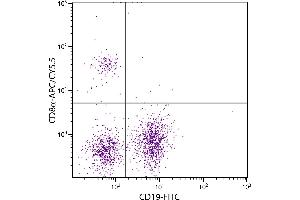 BALB/c mouse splenocytes were stained with Rat Anti-Mouse CD8α-APC/CY5. (CD8 alpha antibody  (APC-Cy5.5))