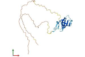AlphaFold protein structure predicition of Human Recombinant GAR1 Protein, UniprotID Q9NY12 (GAR1 Protein (AA 1-217) (His tag))