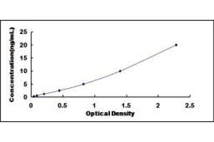 Typical standard curve (DROSHA ELISA Kit)