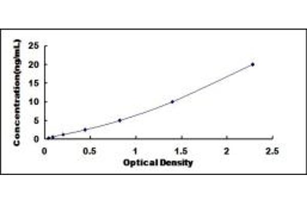 DROSHA ELISA Kit