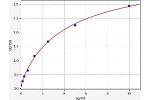 Typical standard curve (ELANE ELISA Kit)