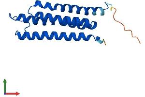 AlphaFold protein structure predicition of Mouse Recombinant Mgst3 Protein, UniprotID Q9CPU4