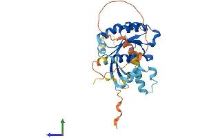 AlphaFold protein structure predicition of Human Recombinant RAB40AL Protein, UniprotID P0C0E4