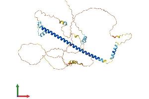 AlphaFold protein structure predicition of Human Recombinant CREB3L3 Protein, UniprotID Q68CJ9 (CREB3L3 Protein (AA 1-461) (His tag))