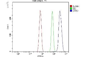 Flow Cytometry analysis of RH35 cells using anti-TORC1/CRTC1 antibody (ABIN7602801).