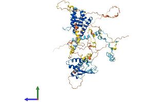 AlphaFold protein structure predicition of Mouse Recombinant Spire2 Protein, UniprotID Q8K1S6