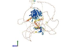 AlphaFold protein structure predicition of Human Recombinant LPIN1 Protein, UniprotID Q14693 (Lipin 1 Protein (LPIN1) (AA 1-890) (His tag))