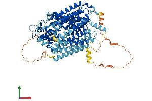 AlphaFold protein structure predicition of Human Recombinant SLC5A9 Protein, UniprotID Q2M3M2
