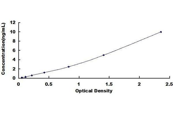 HEXB ELISA Kit