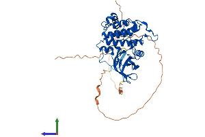 AlphaFold protein structure predicition of Mouse Recombinant Csnk1g2 Protein, UniprotID Q8BVP5 (Casein Kinase 1 gamma 2 Protein (AA 1-415) (His tag))