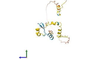 AlphaFold protein structure predicition of Human Recombinant C17orf50 Protein, UniprotID Q8WW18 (C17ORF50 Protein (AA 1-174) (His tag))