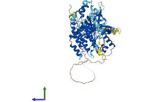 Protein Structure (PS) image for Minichromosome Maintenance Complex Binding Protein (MCMBP) (AA 1-642) protein (His tag) (ABIN7564698)