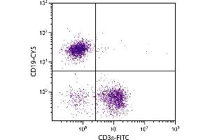 BALB/c mouse splenocytes were stained with Rat Anti-Mouse CD19-CY5. (CD19 antibody  (Cy5))