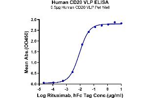 CD20 Protein-VLP (AA 1-297)