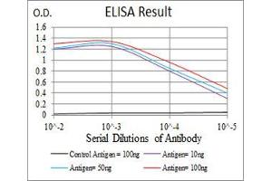 Black line: Control Antigen (100 ng), Purple line: Antigen(10 ng), Blue line: Antigen (50 ng), Red line: Antigen (100 ng), (Annexin V antibody  (AA 160-320))