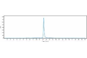 anti-CSF1R (Cabiralizumab Biosimilar) antibody
