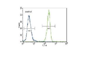 FOXP3 Antibody (C-term) (ABIN389295 and ABIN2839415) flow cytometric analysis of 293 cells (right histogram) compared to a negative control (left histogram). (FOXP3 antibody  (C-Term))