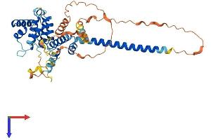 Chromosome 2 Open Reading Frame 24 (C2orf24) (AA 1-410) protein (His tag)