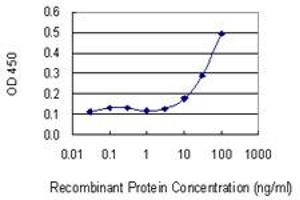 Detection limit for recombinant GST tagged SNRPB is 3 ng/ml as a capture antibody. (SNRPB antibody  (AA 1-80))