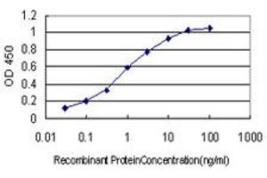 Detection limit for recombinant GST tagged QPRT is approximately 0. (QPRT antibody  (AA 198-297))