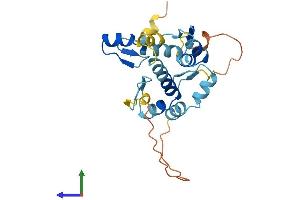AlphaFold protein structure predicition of Human Recombinant ZMAT4 Protein, UniprotID Q9H898