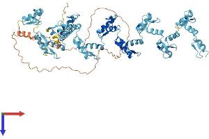 AlphaFold protein structure predicition of Human Recombinant ZNF615 Protein, UniprotID Q8N8J6 (ZNF615 Protein (AA 1-731) (His tag))