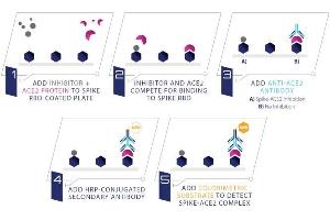 Studying the interaction between the S-RBD and the ACE2 protein in the presence of a potential inhibitor (COVID-19 Spike-ACE2 Binding Assay Kit)