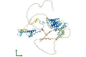 AlphaFold protein structure predicition of Human Recombinant TAF6 Protein, UniprotID P49848