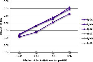 ELISA plate was coated with purified mouse IgGκ, IgMκ, IgAκ, IgGλ, IgMλ, and IgAλ. (Rat anti-Mouse Ig (Chain kappa) Antibody (HRP))