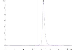 The purity of Biotinylated Cynomolgus GFRAL is greater than 95 % as determined by SEC-HPLC. (GFRAL Protein (AA 20-351) (His-Avi Tag,Biotin))